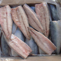 Filetes de pescado congelado de filete de exportación china Filetes de caballa de pescado